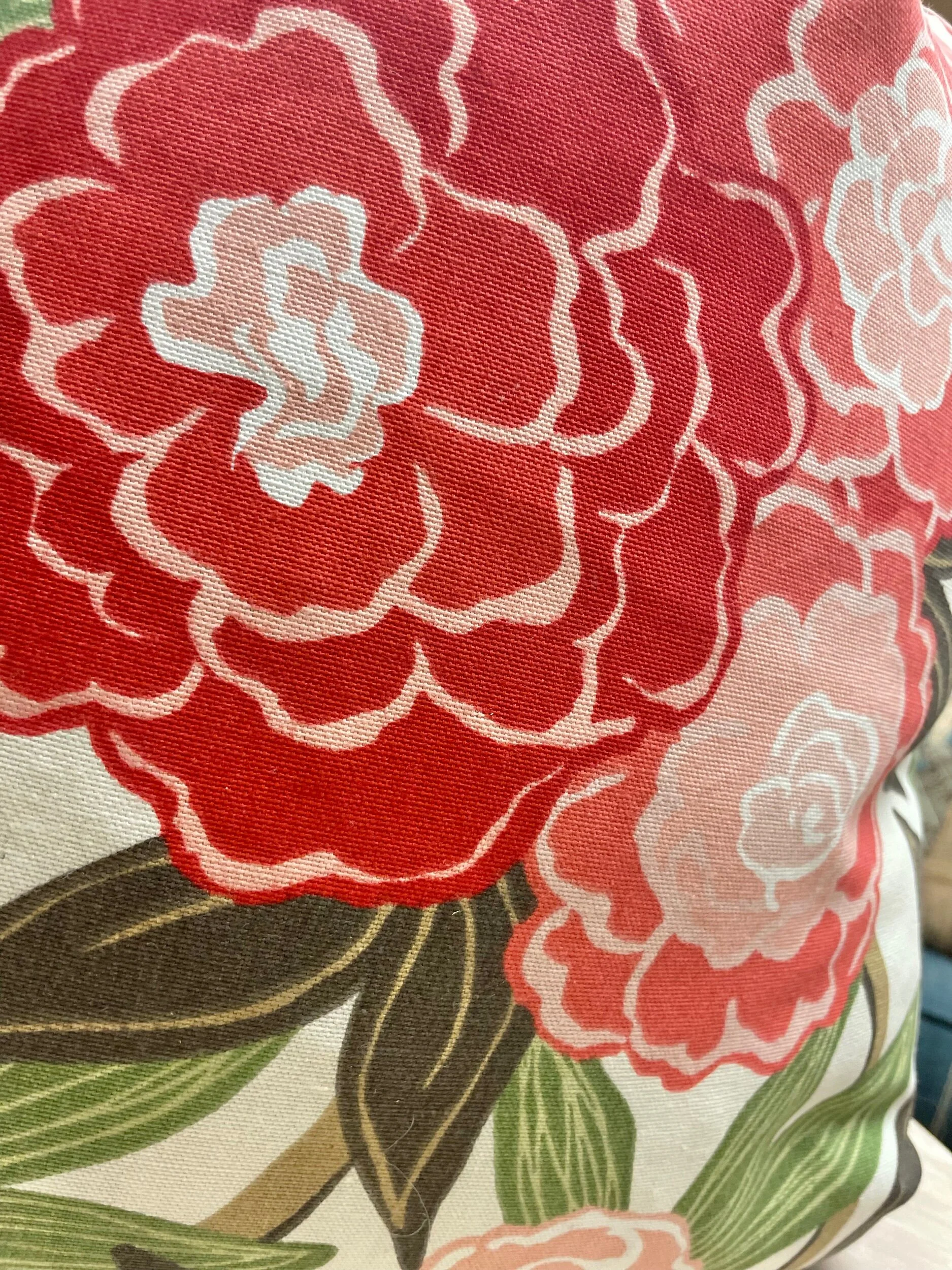 0AAD5119-6D64-46E5-8B2F-FE8D91C630B6