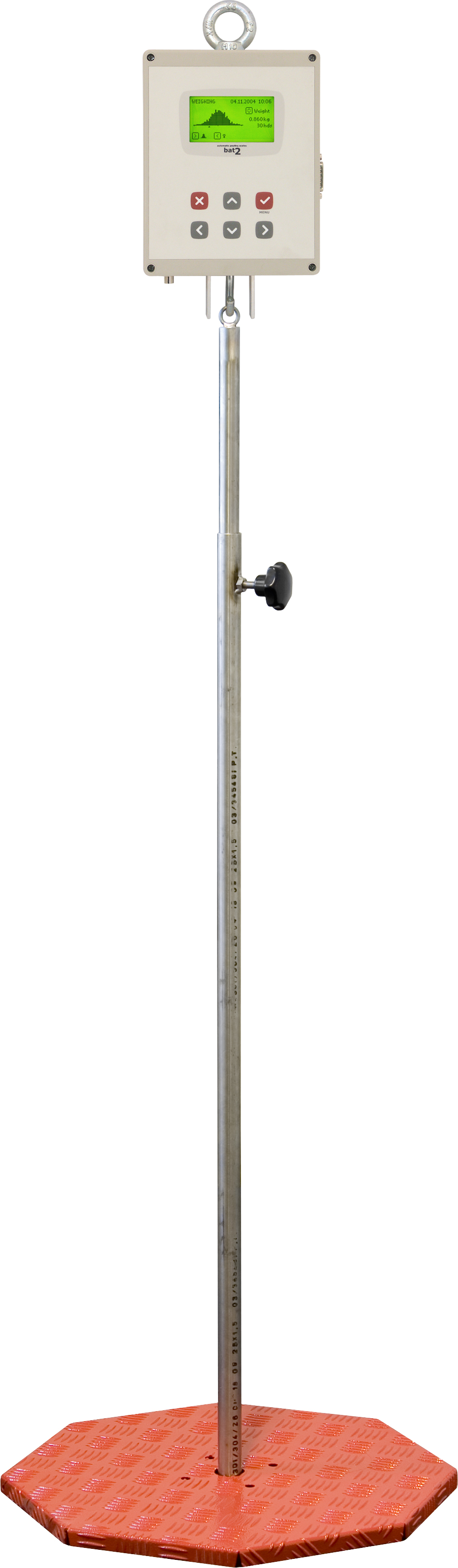 Bat2 hanging plate.jpg