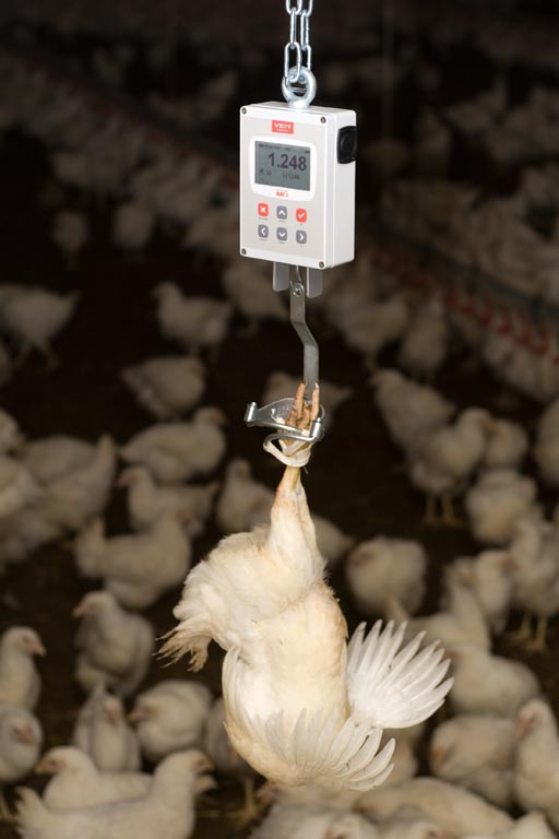 BAT 1 Manual Poultry Scale — Farm Weigh Systems Inc.