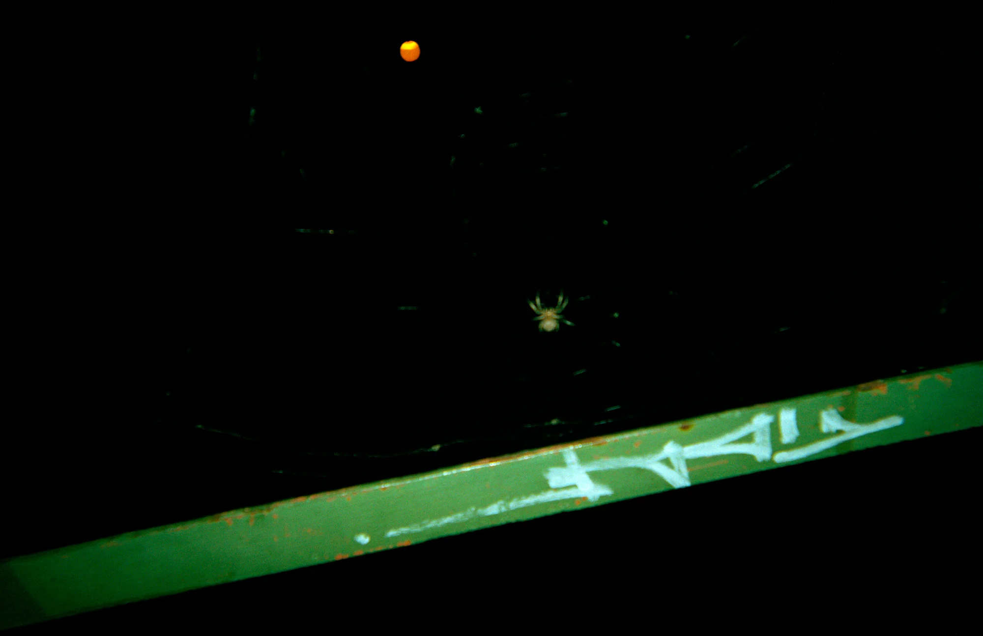 Spider and Moon