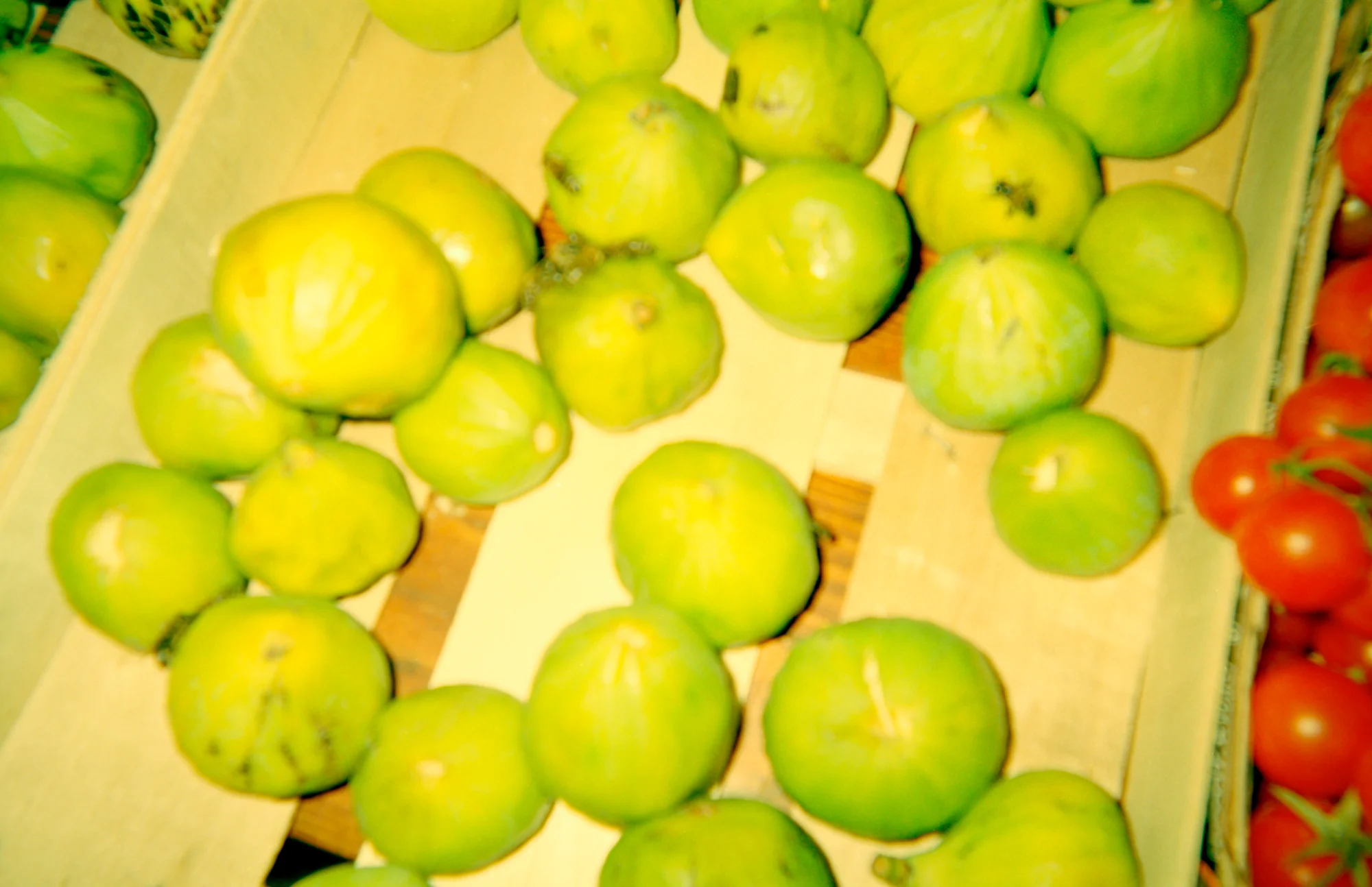 Figs and Insects