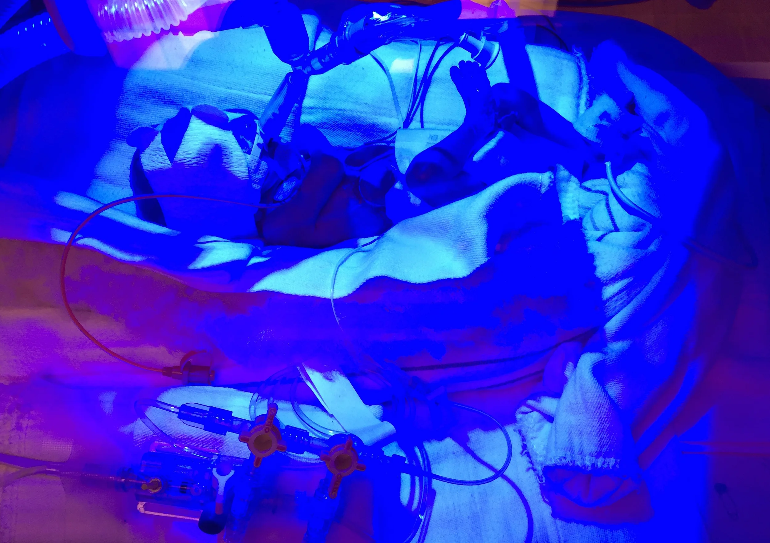 Dear Henry, can you see me?