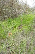 DSCN0036-141x213.jpg