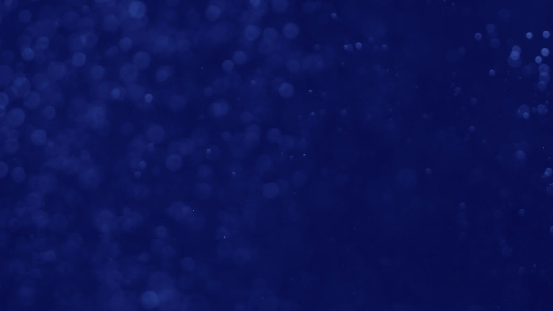 WC0825_CVBackground.jpg