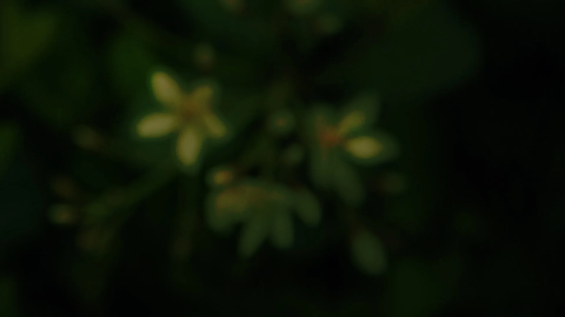 MothersDay_ArtProjectors.jpg