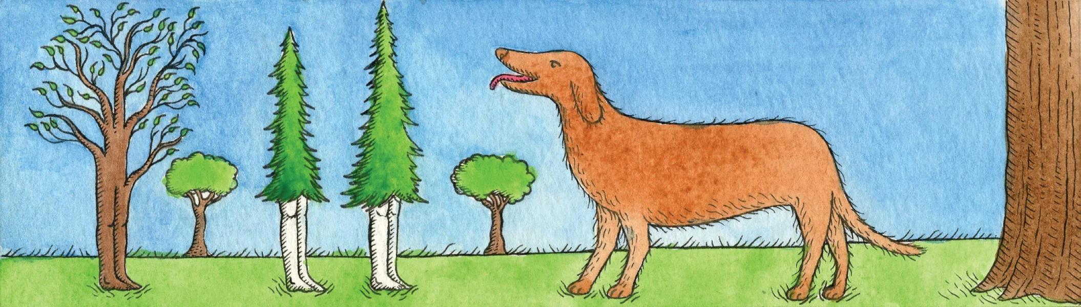 adog.jpg