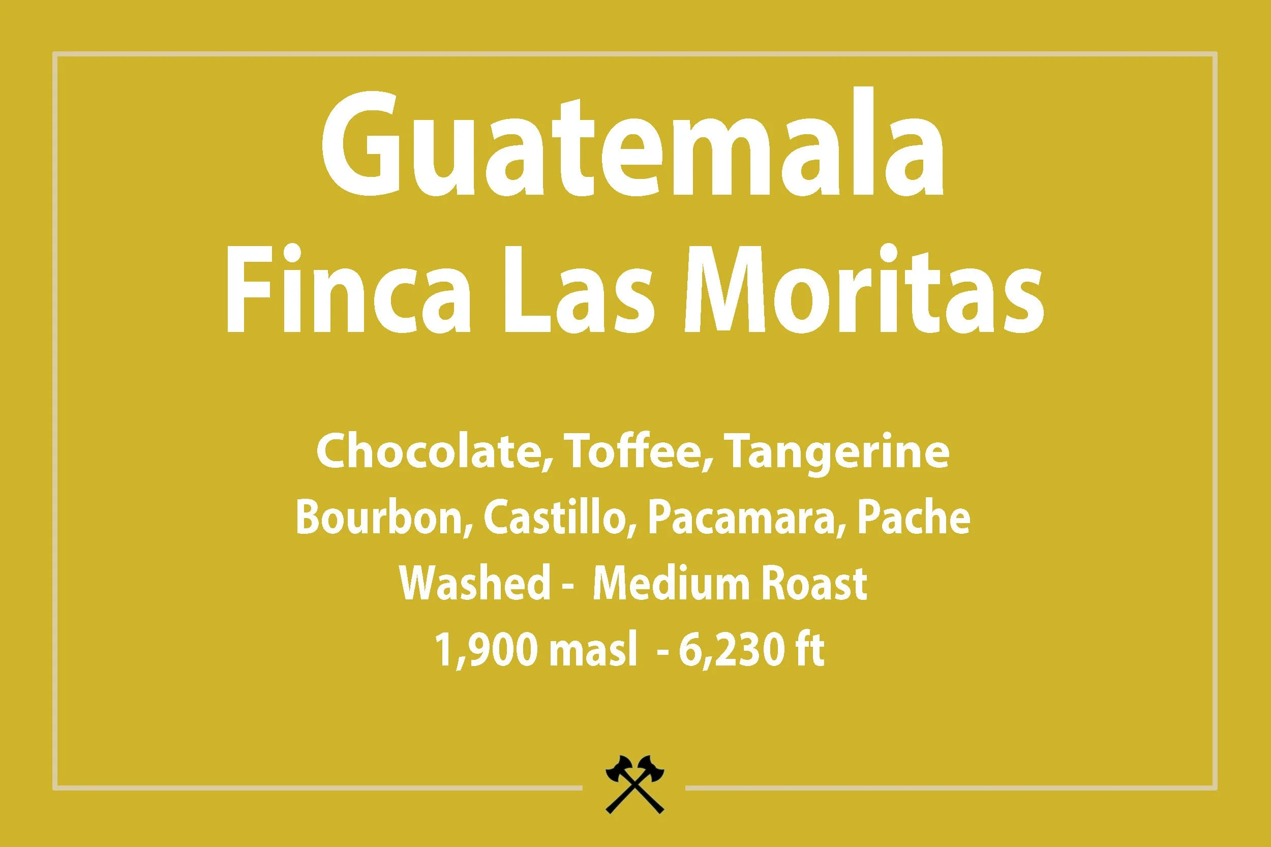 GuatMoritas2026WEB.jpg