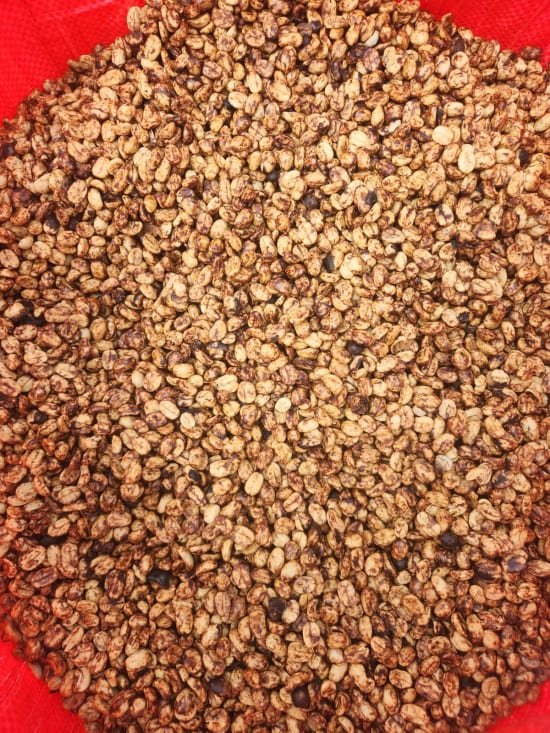 Cafe_Imports_Honduras_Hernan_Avila-12-2026-06-09-165015.jpg