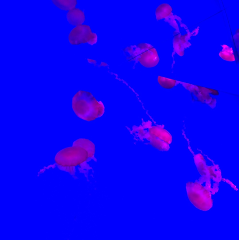 twenty six no logo.png