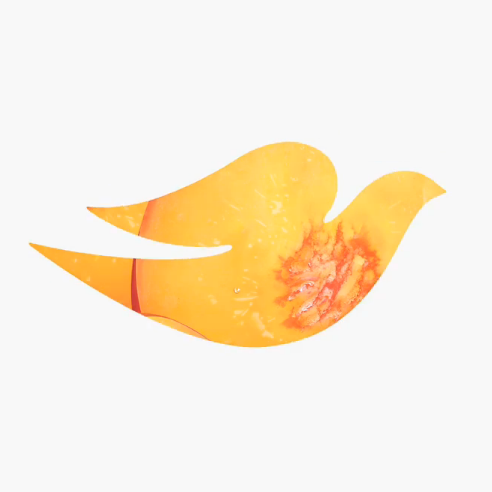 dove1.png
