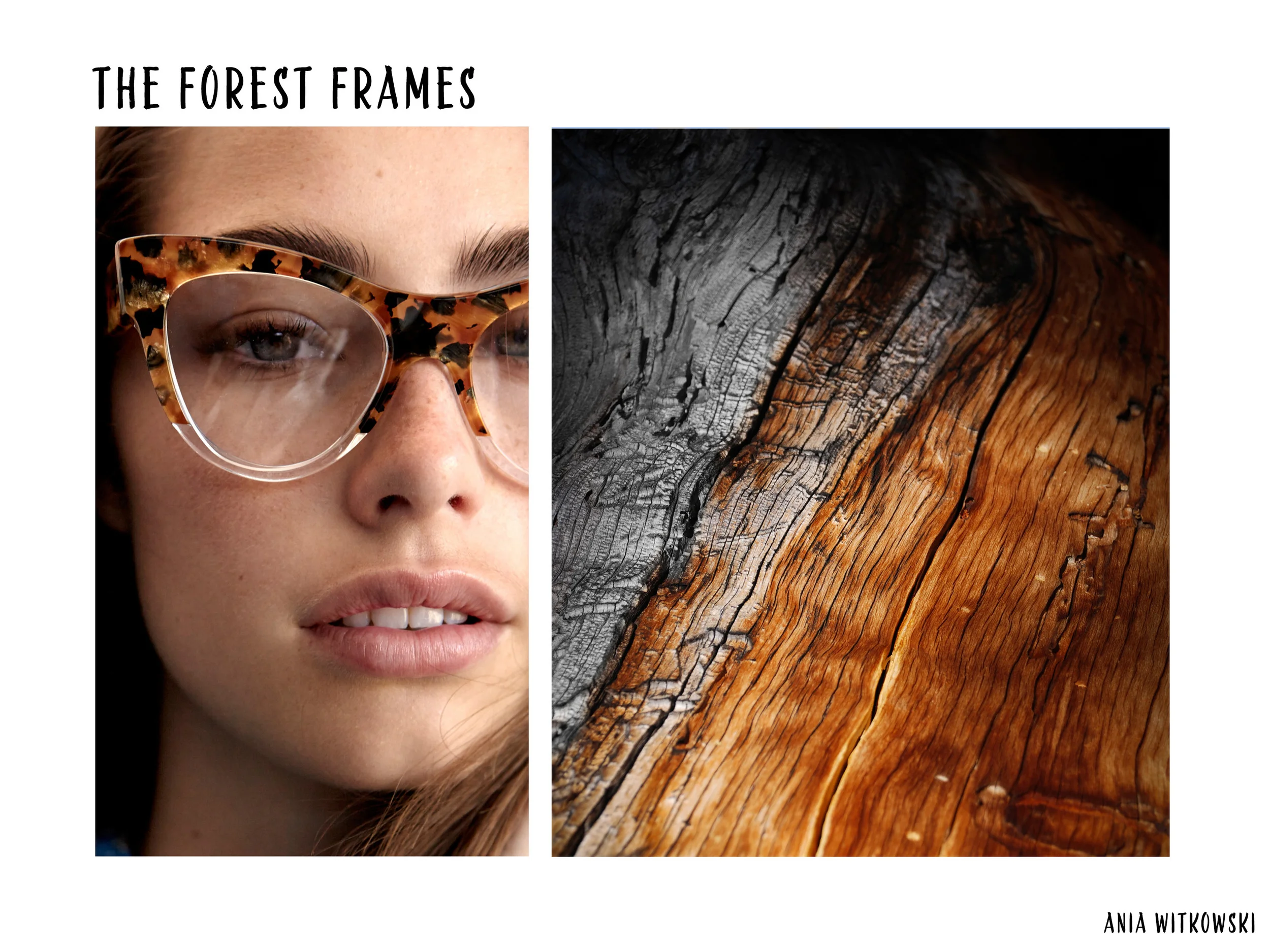 sunnies-01.jpg