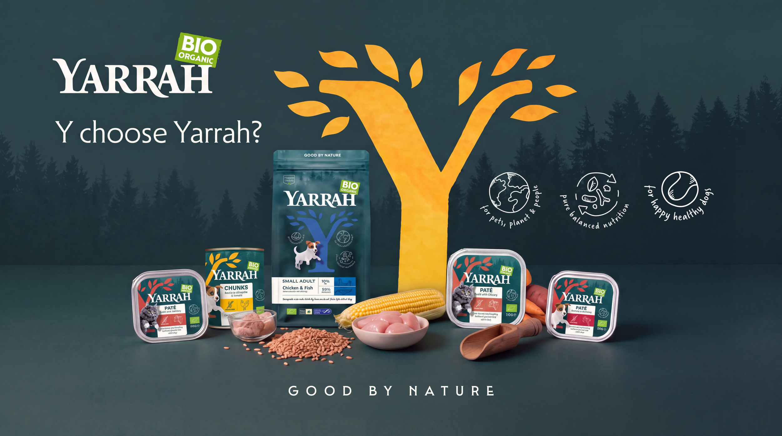 yarrah concept copy.png