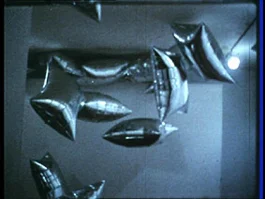 ANDY WARHOL’s SILVER FLOTATIONS (1966) – Willard Maas