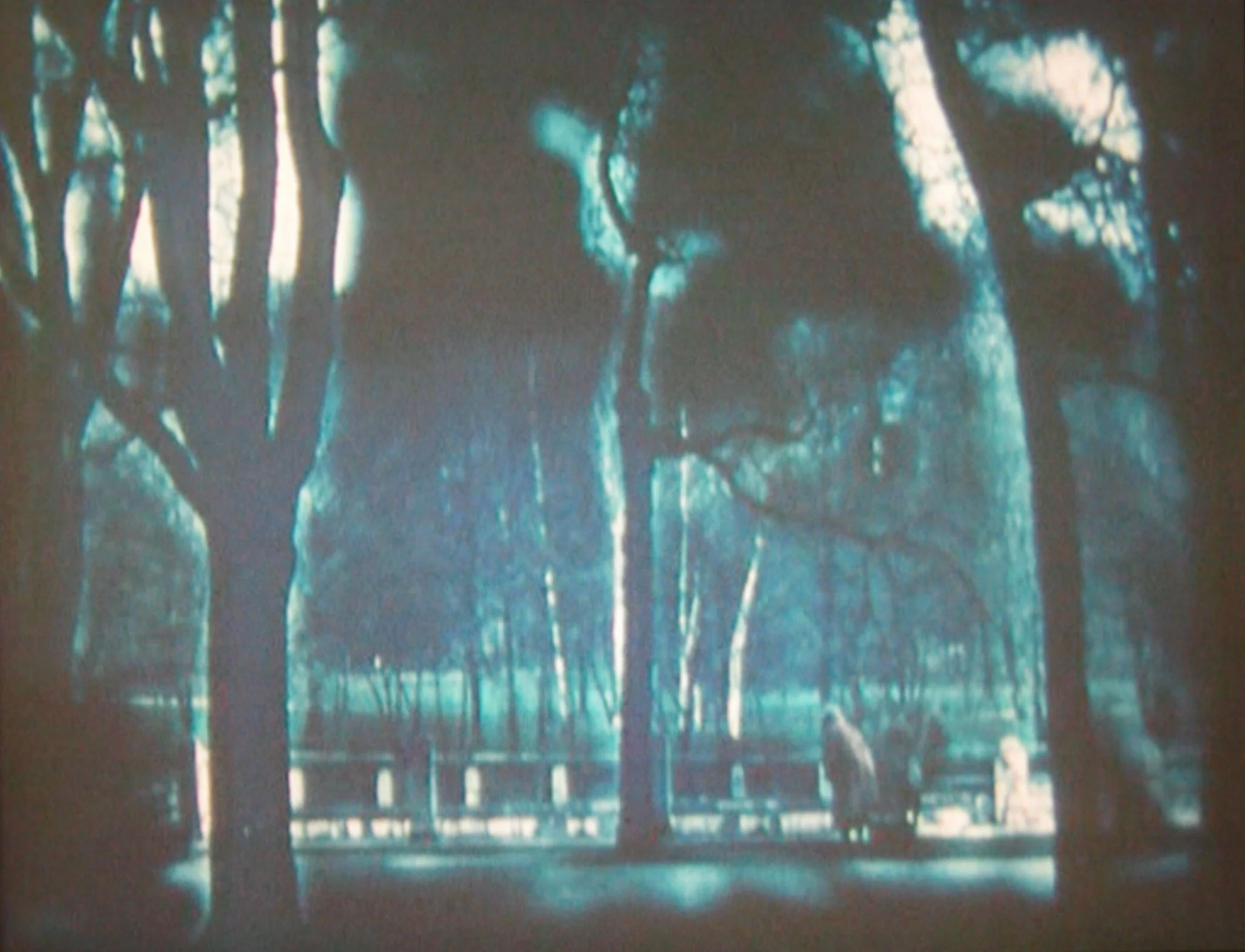 31/75 ASYLUM