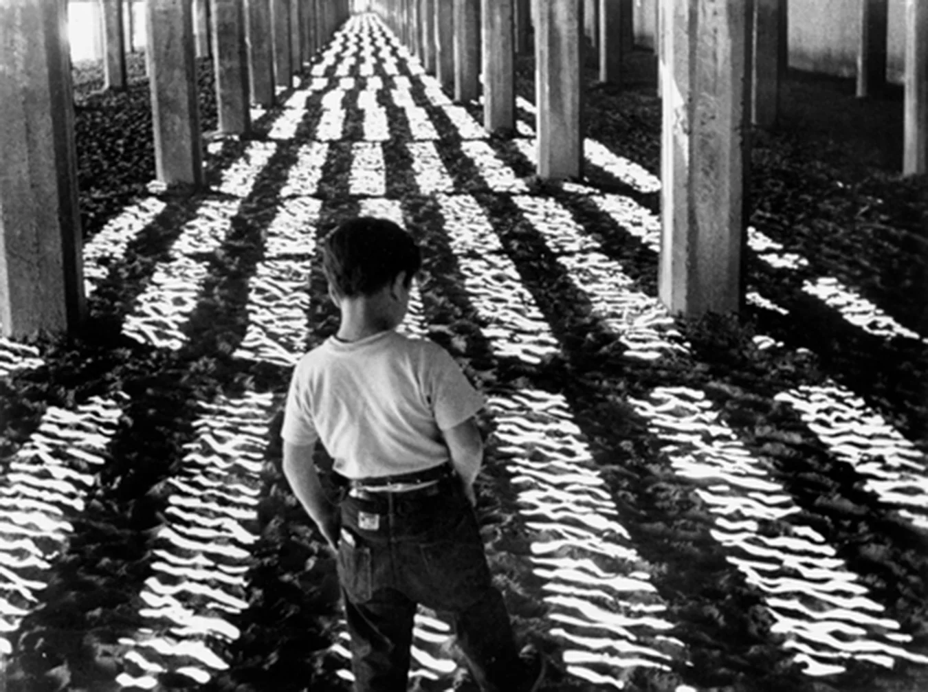 Little Fugitive (1953), Morris Engel, Ruth Orkin, and Ray Ashley, starring Richie Andrusco 