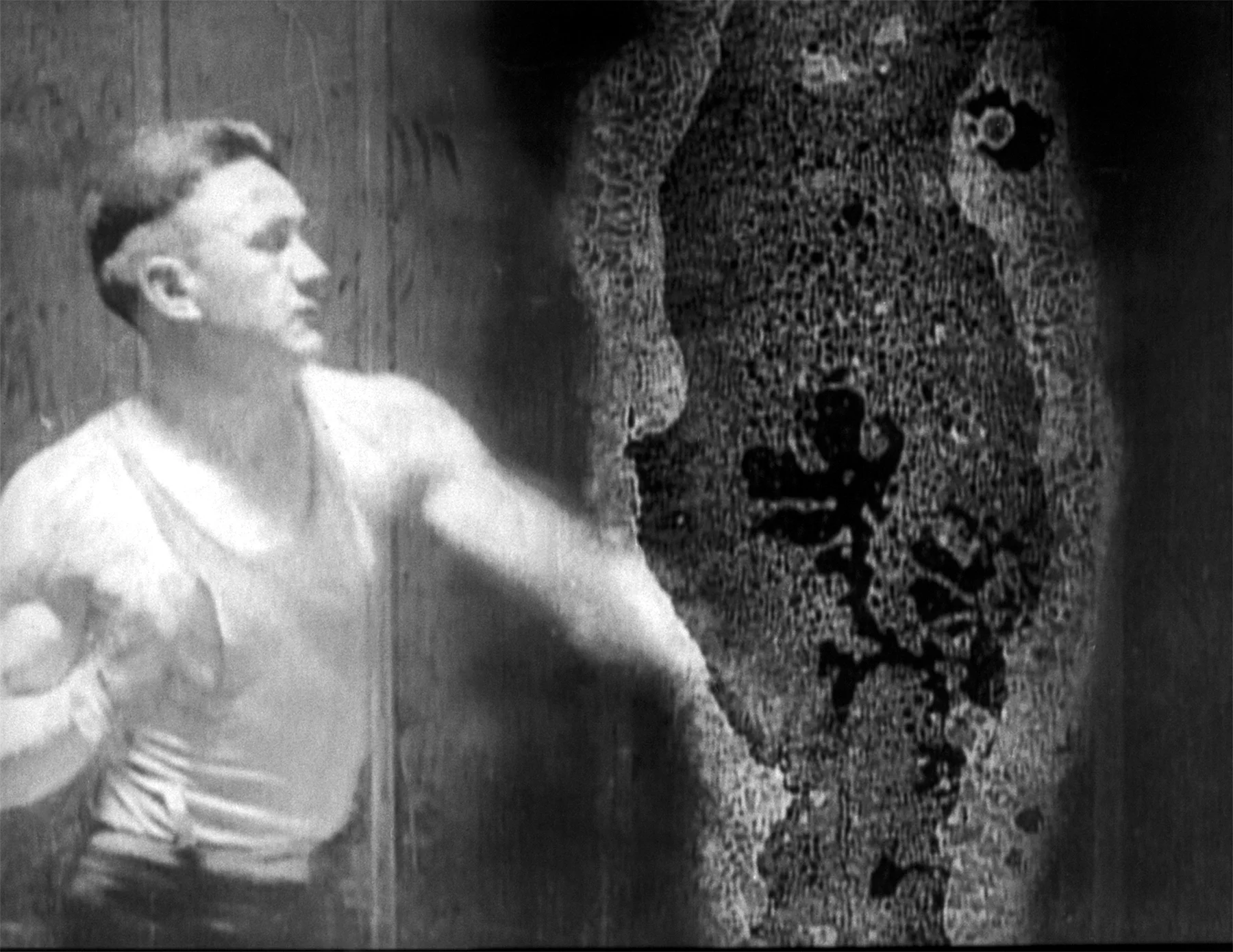 DECASIA (Bill Morrison, 2002)