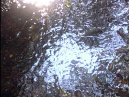 SKYLIGHT (1988)