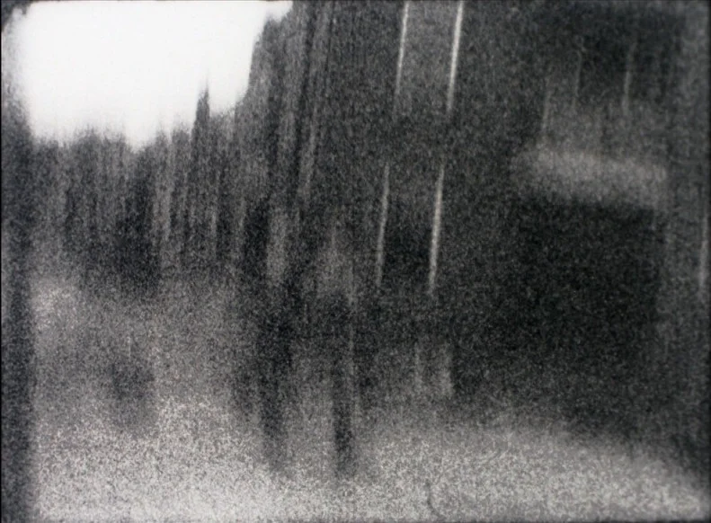 Herts (FRANK BRUINSMA, 1996)