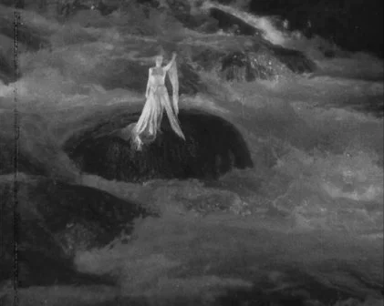 "Le roi des aulnes" BY MARIE-LOUISE IRIBE
