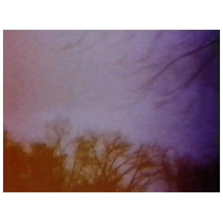 aotn-01a.jpg
