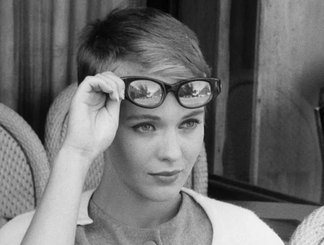 FROM THE JOURNALS OF JEAN SEBERG06.jpg