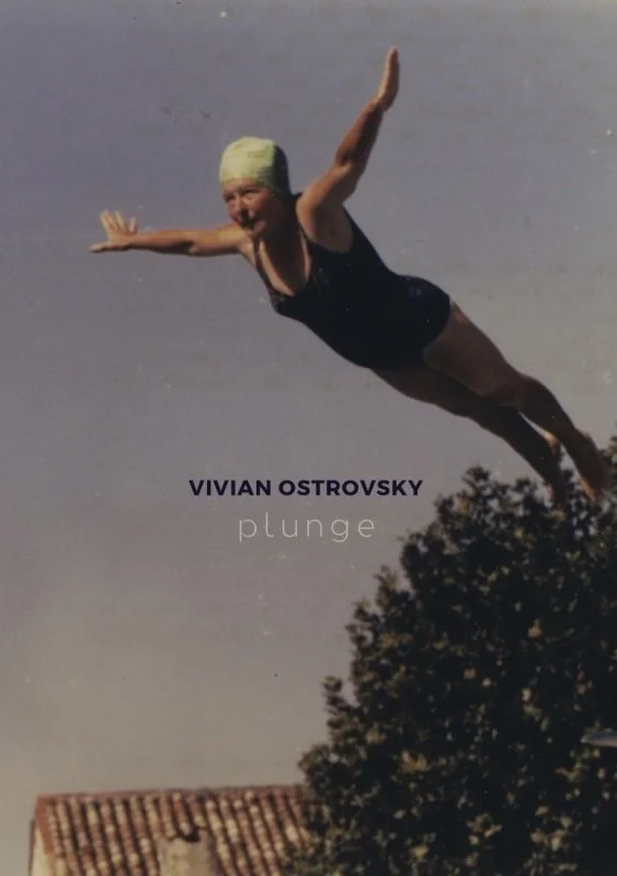vivian-ostrovsky-plunge cover.jpg