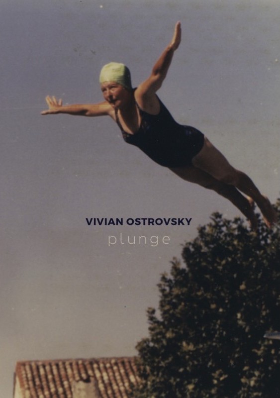 vivian-ostrovsky-plunge cover.jpg