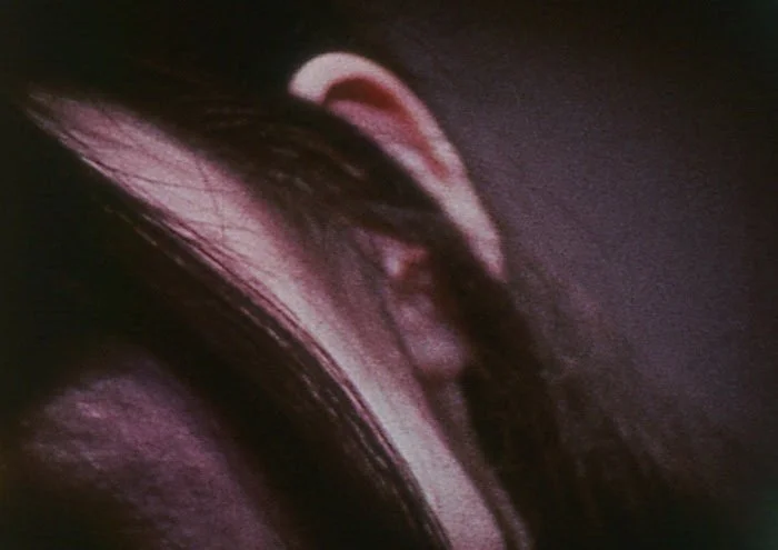 Stephen Dwoskin's "Erotic Masterpiece," TIMES FOR, Showing in The Carnal Screen series at the Roxy Cinema