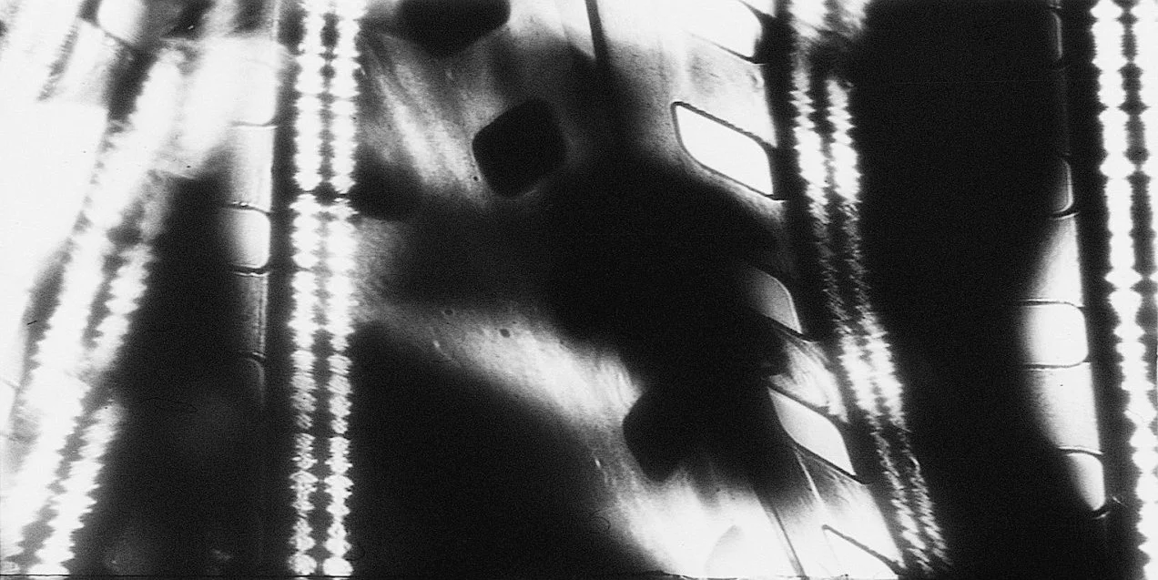The Early Films of Peter Tscherkassky are Screening at Light Industry