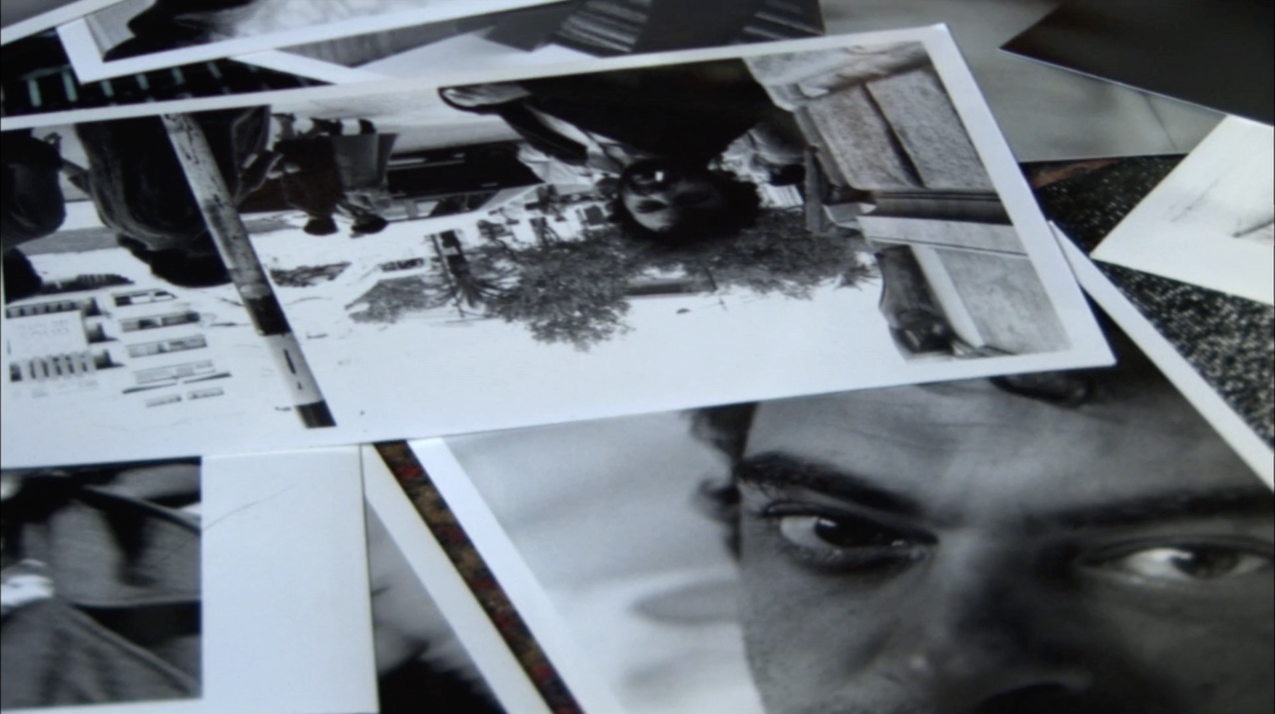 DAYS IN SINTRA (Brazil, 2008, Paula Gaitán)