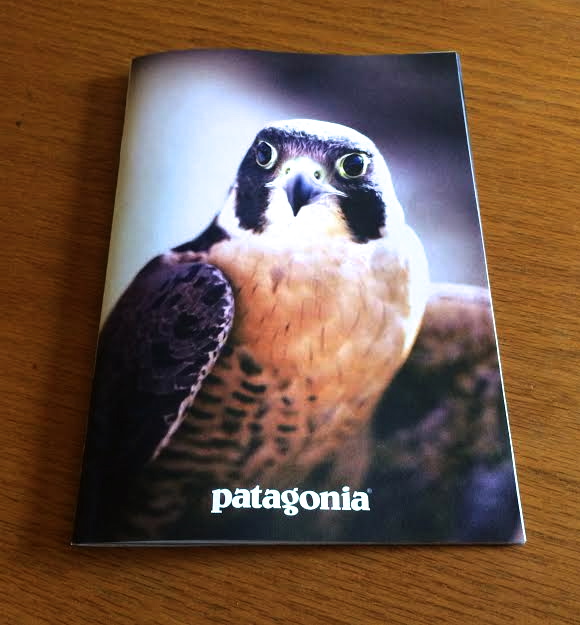ORC Education Ambassador, Peregrine Falcon "Gavin" on the cover!