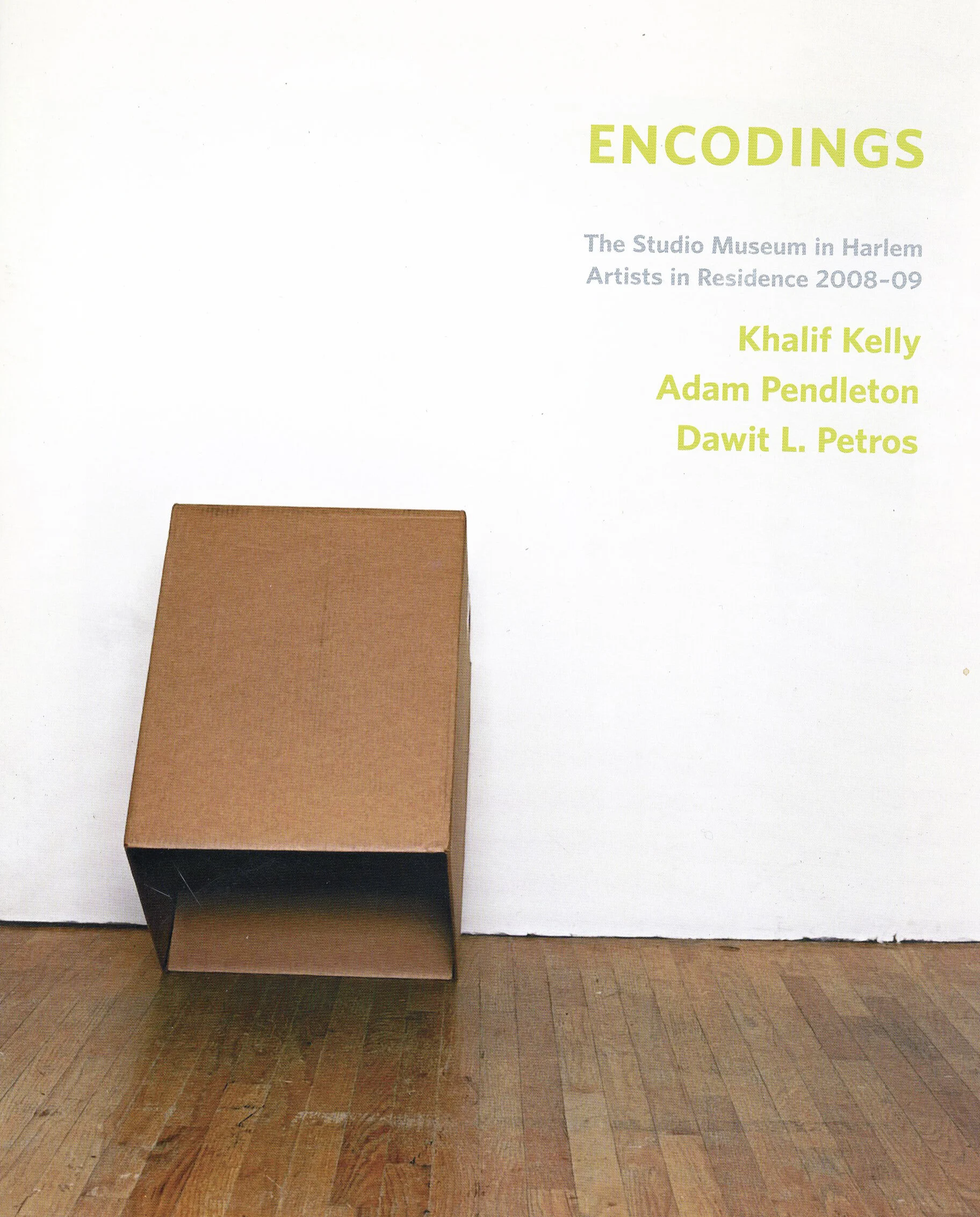 2009_SMH_Encodings_AIR 1.jpg