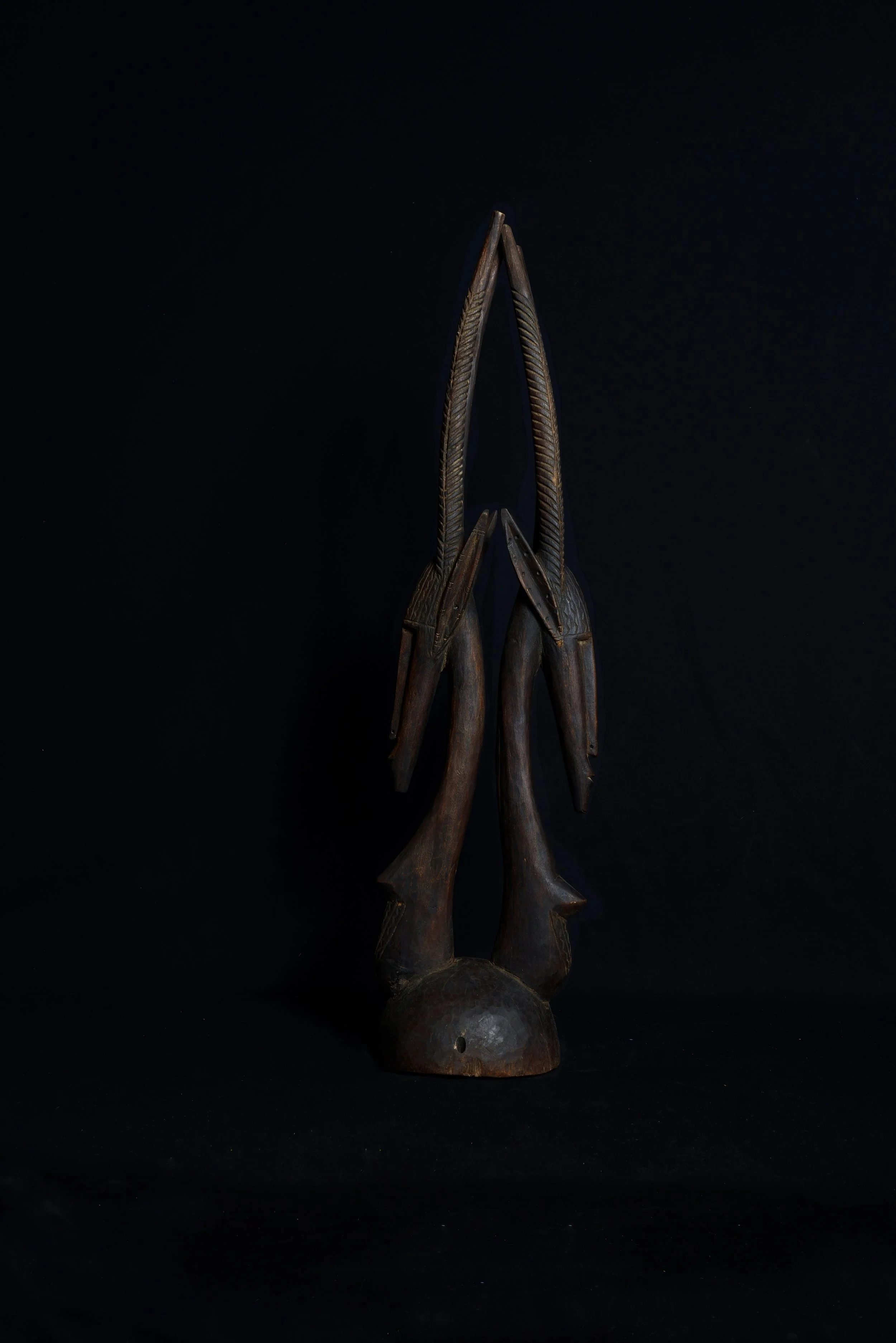 DSC_5961.JPG