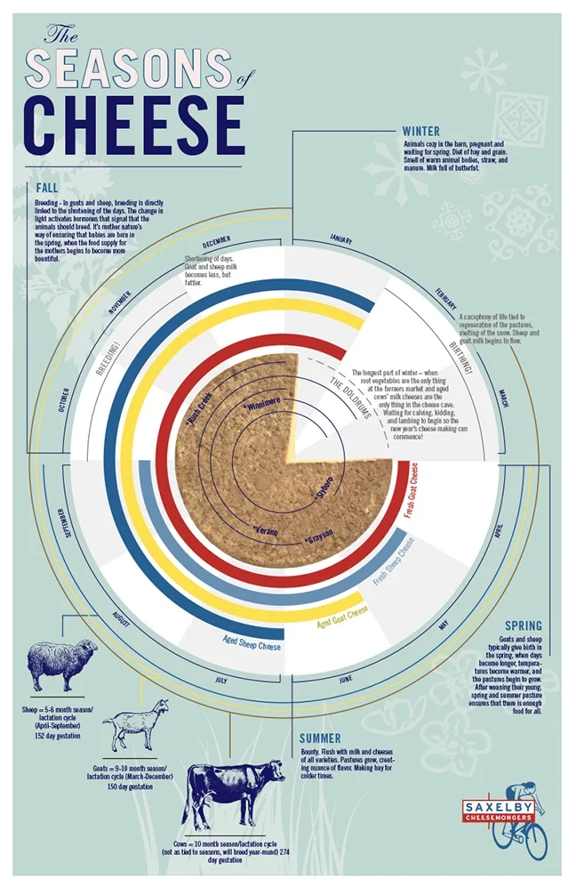 Cheese Seasonality Infographic