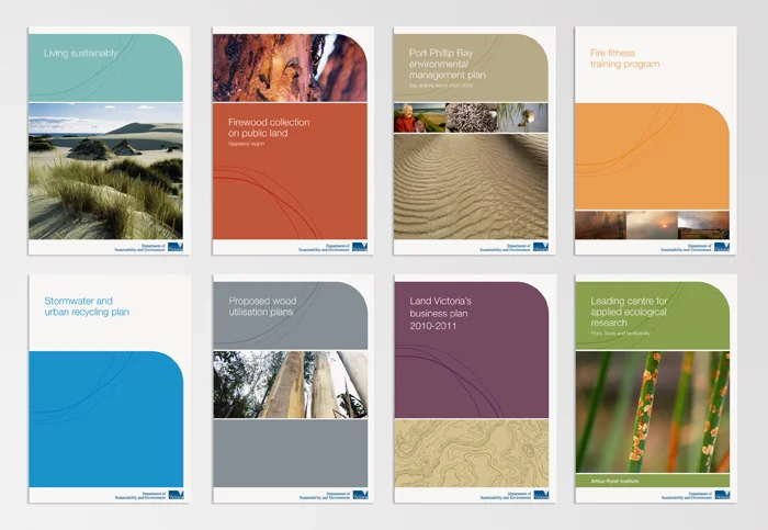 DSE covers.jpg