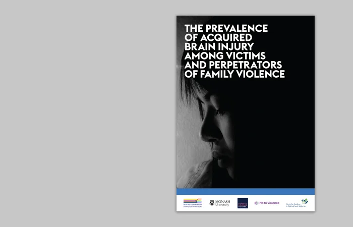 BI FV report cover.jpg