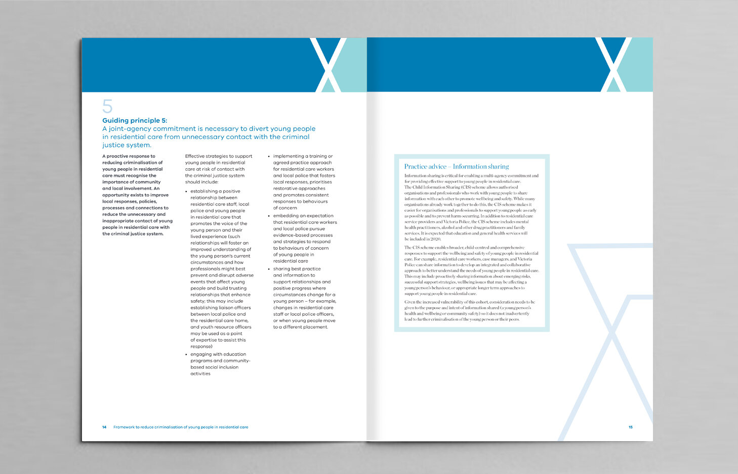 DHHS Framework text 4.jpg