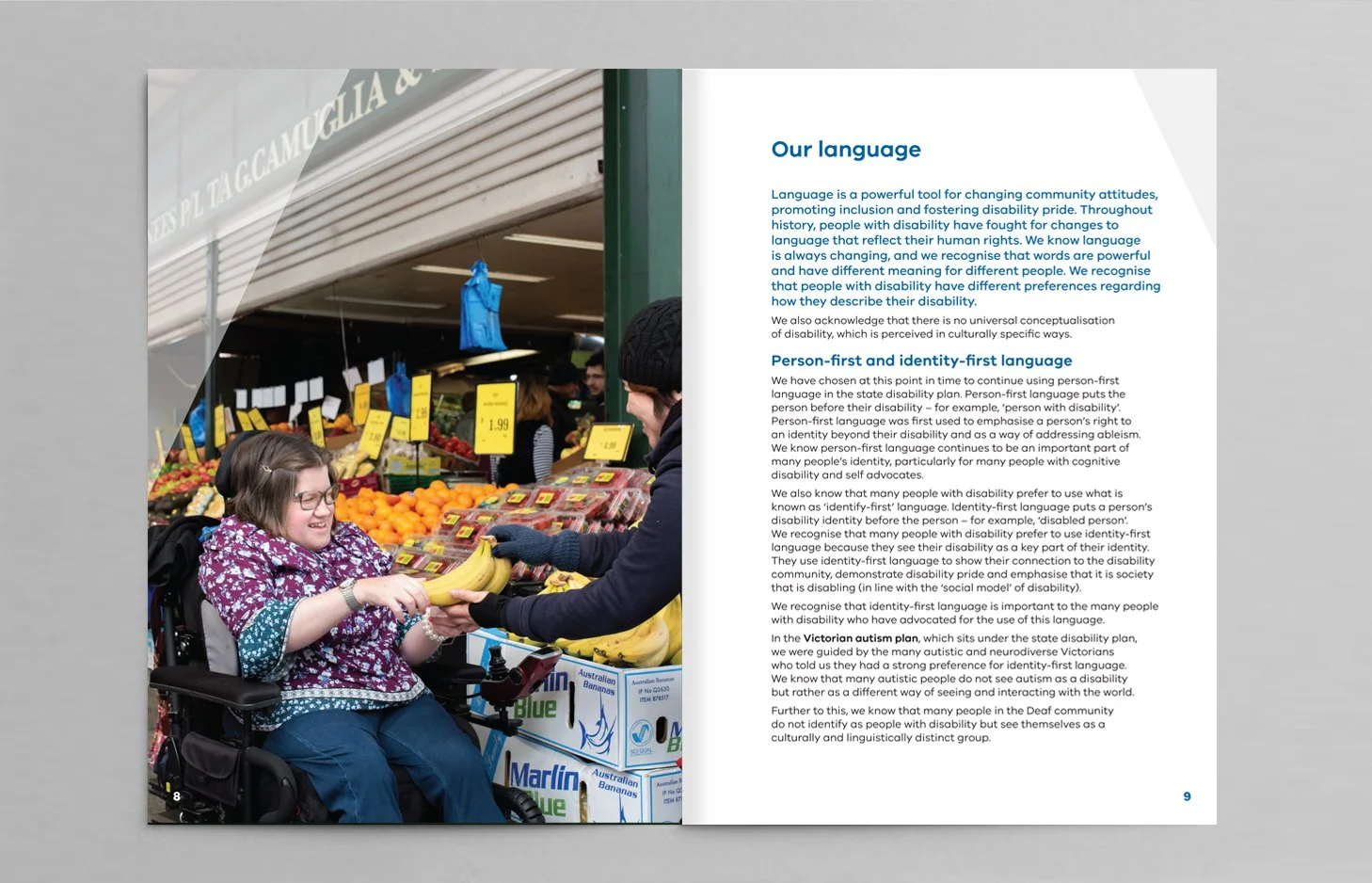 DFFH disability plan 2022 spread v4.jpg