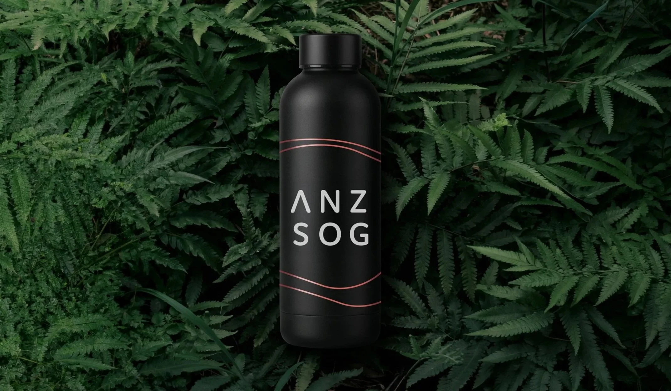 ANZSOG collateral 2025_thumb.jpg