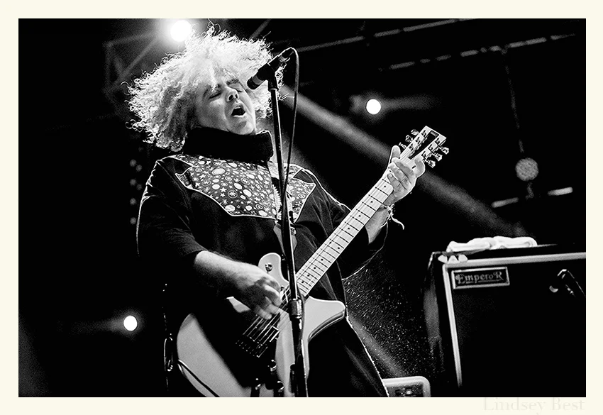 buzz osborne — Blog — Lindsey Best