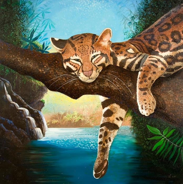 Dream-a-lot Ocelot