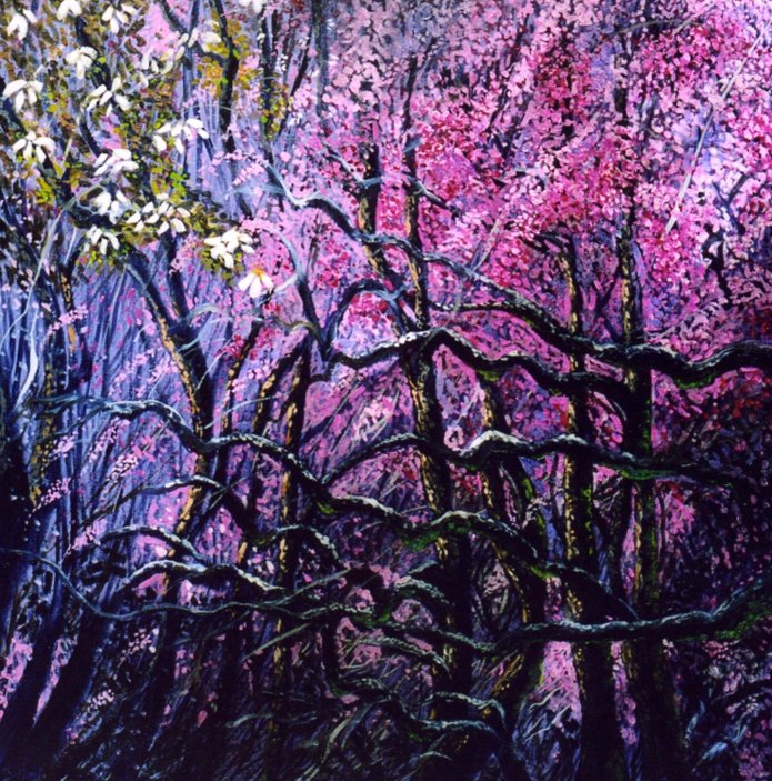 The Pink Tangle Wood