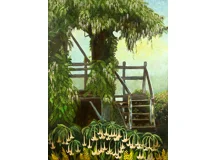 Wisteria Bower