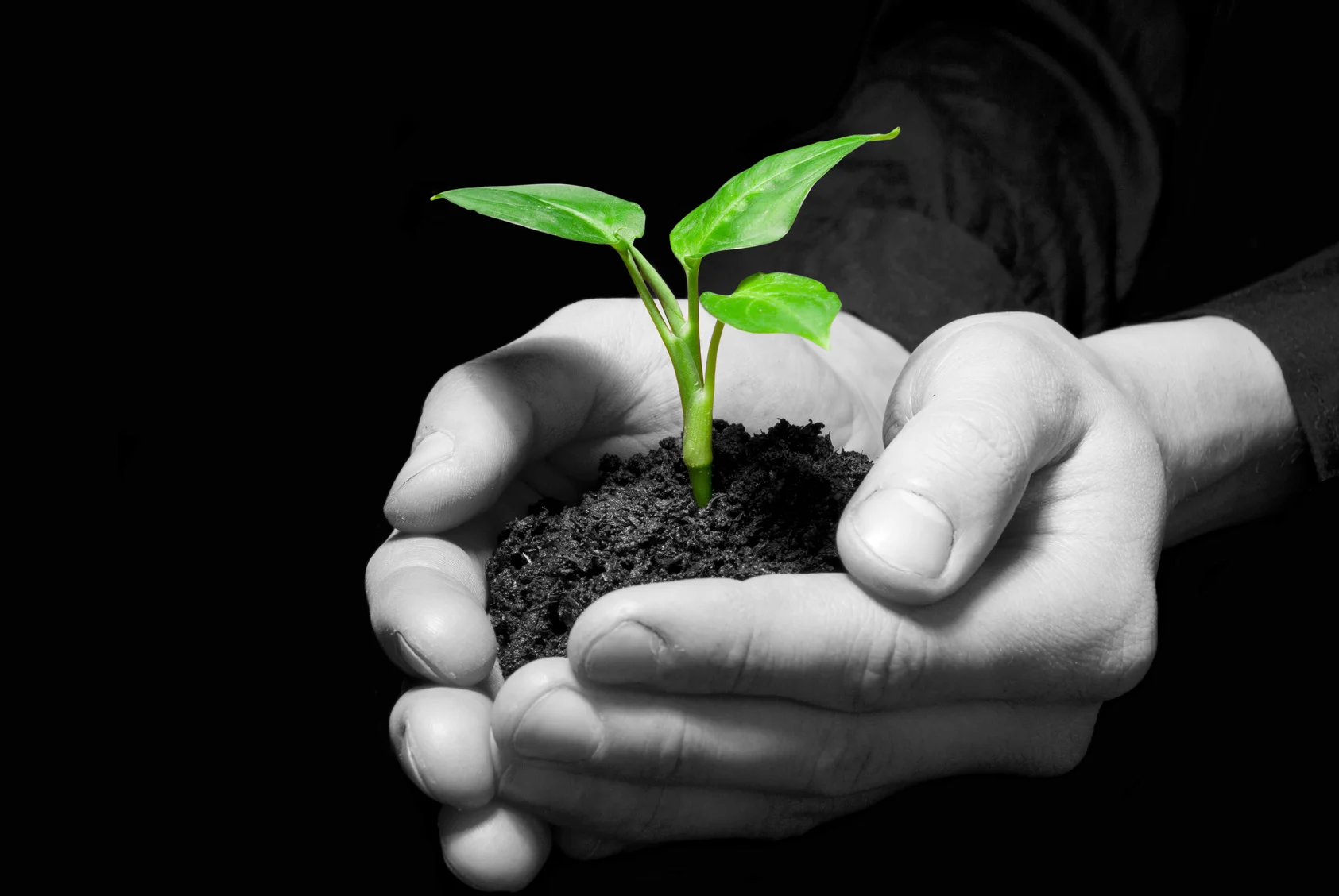 Fotolia_16756471_Subscription_Monthly_M.jpg