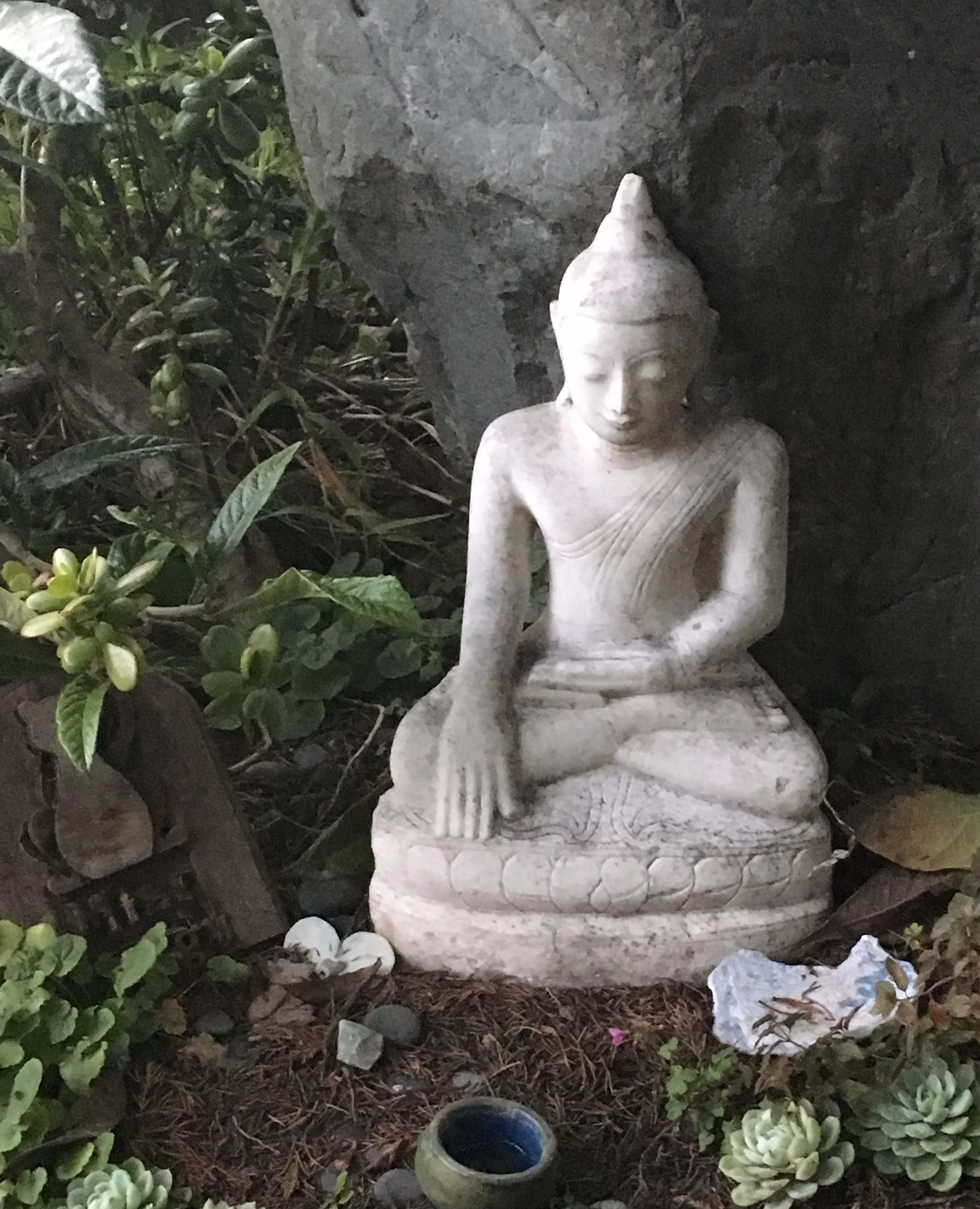 The First Noble Truth