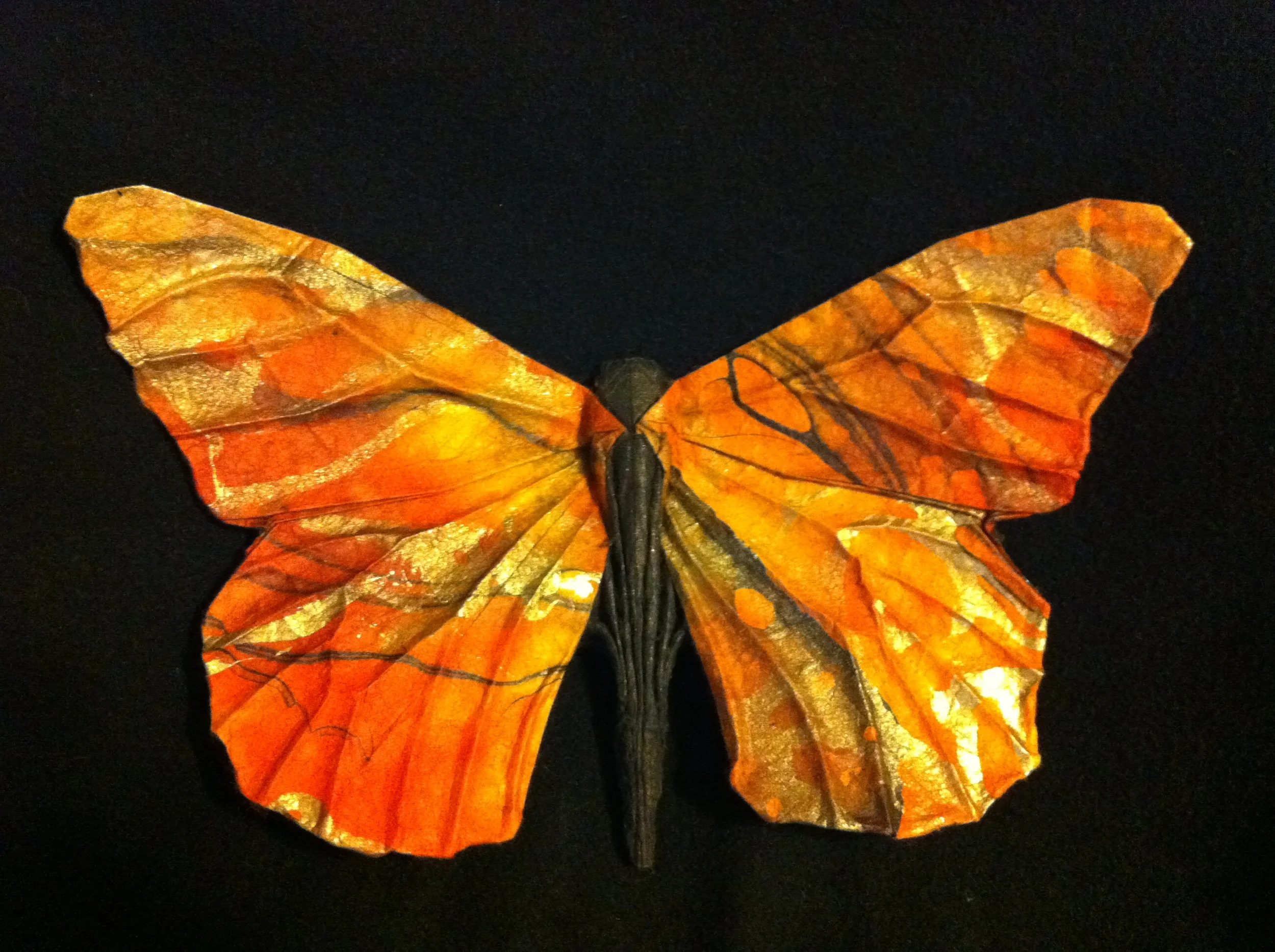 Monarch Butterfly.JPG