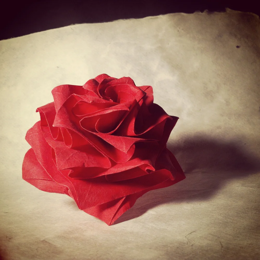 MiuraKen Beauty Rose — C'origami