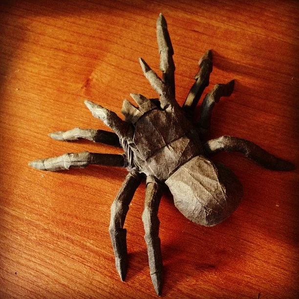 Tarantula.jpg