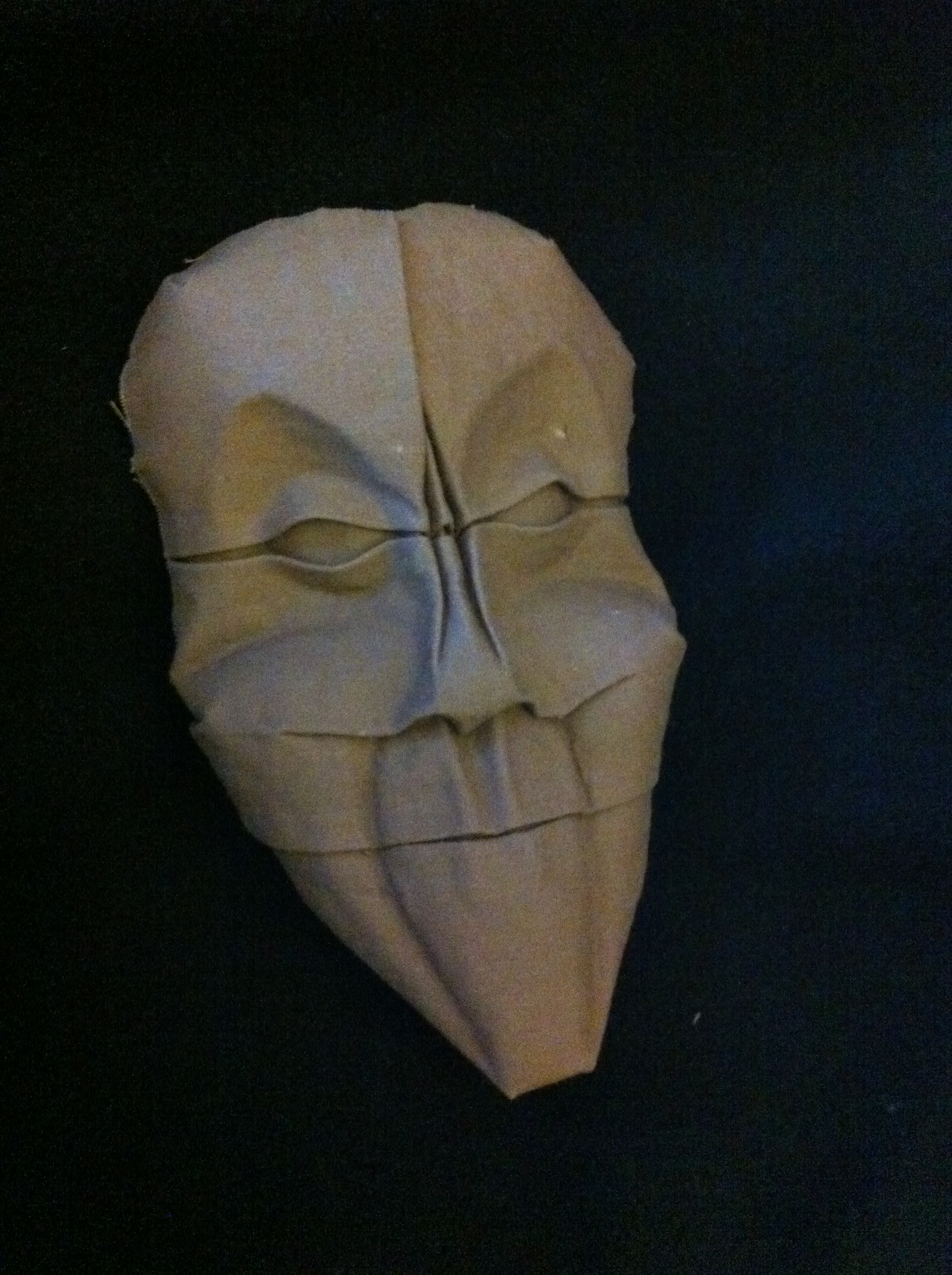 Un-named Improvised Mask.JPG