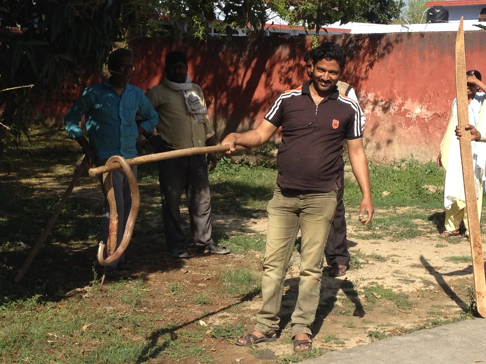 KCH is known as “the snake bite hospital” because their largest numbers of patients during the hot season are people who’ve been bitten by cobras, kraits, or vipers prevalent in the area. This cobra was found in the hospital’s chapel. - Photo by Gloria